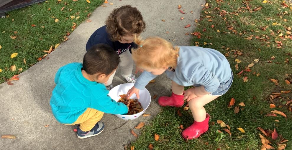 Learning about Autumn